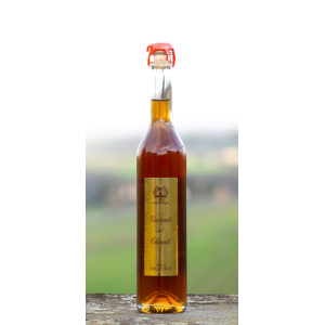 bottiglia di vinsanto del Chianti - Tenuta Isola Verde - Cerreto Guidi - Firenze - Toscana